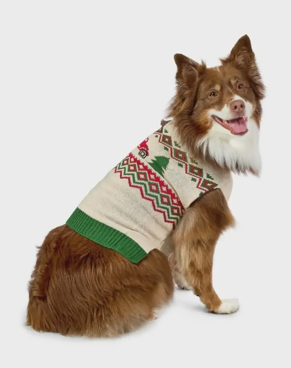 NEW! Vibrant Life Christmas Pet Dog Sweater Costume Size M 20-50lb Red Truck